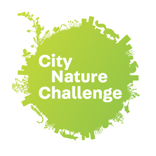City Nature Challenge Teaser Image